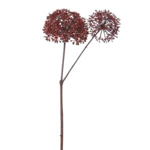 Angelica 177cm dk rd